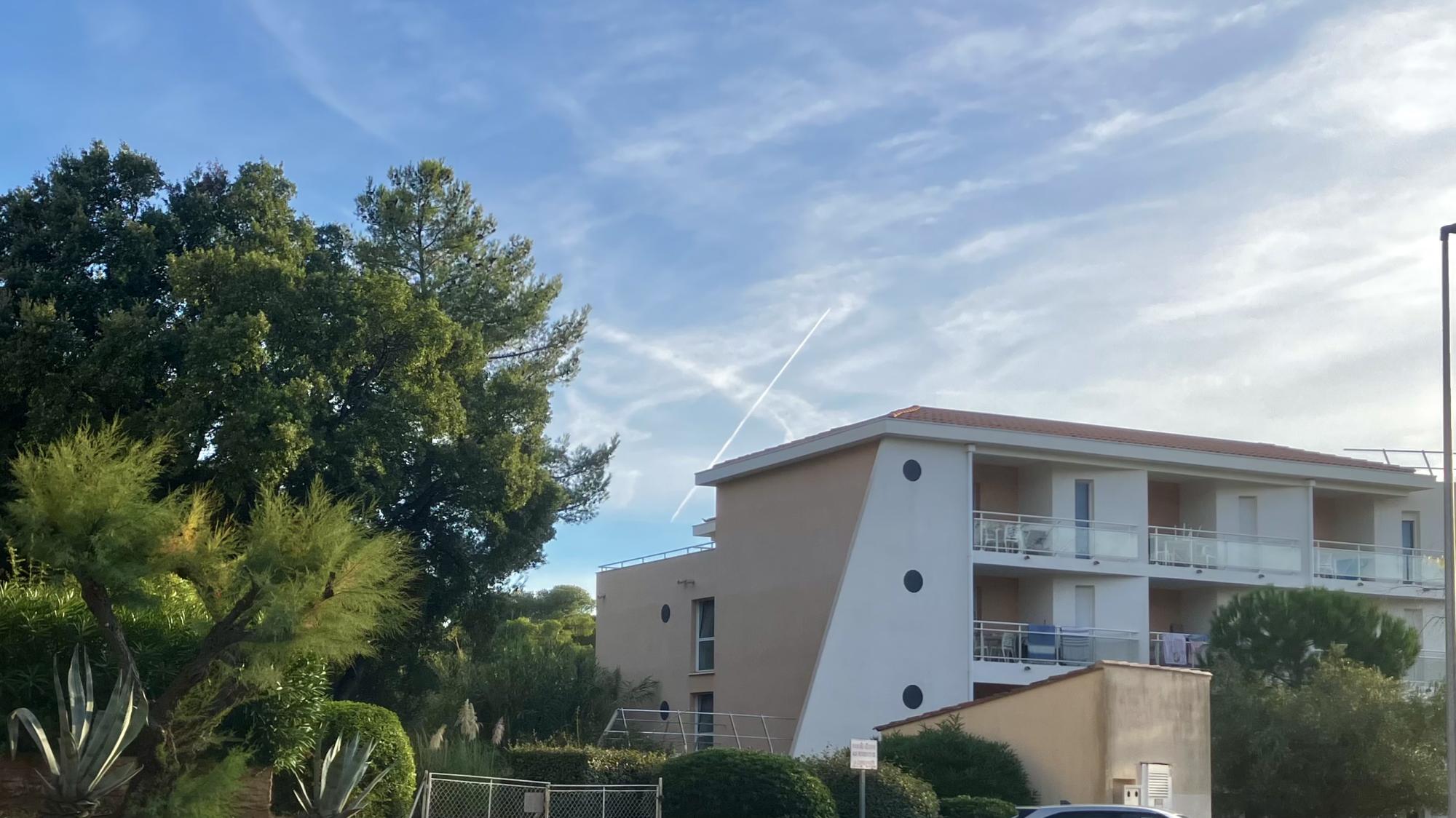 pin Rolland, pinède 