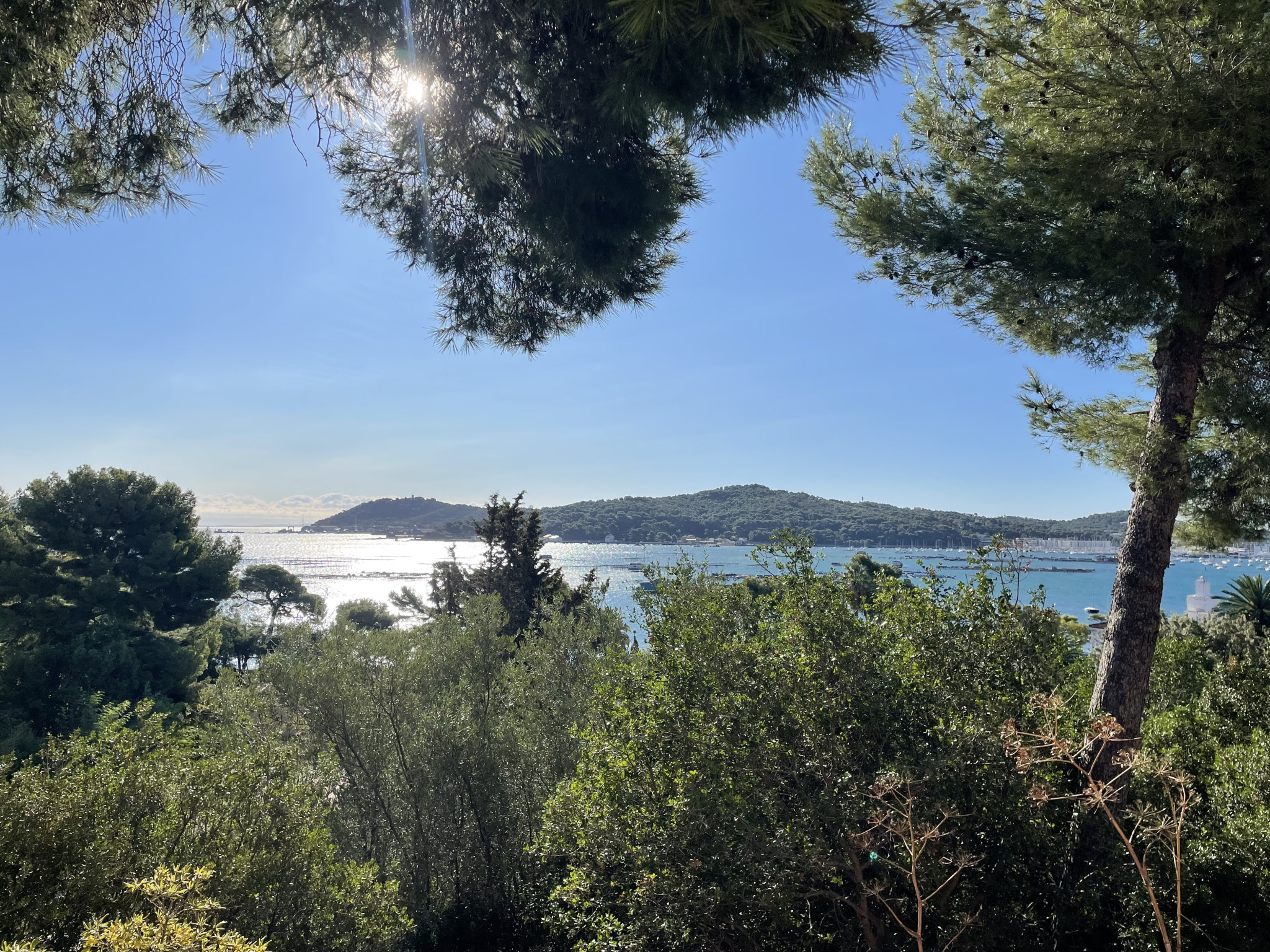 Appartement - La Seyne-sur-Mer